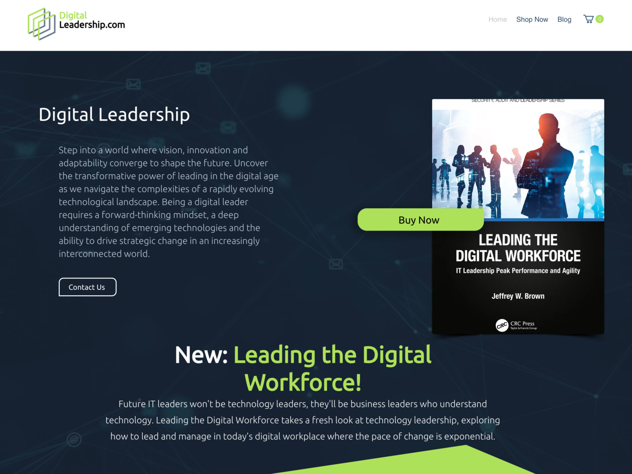 Digital-Leadership.com website screenshot