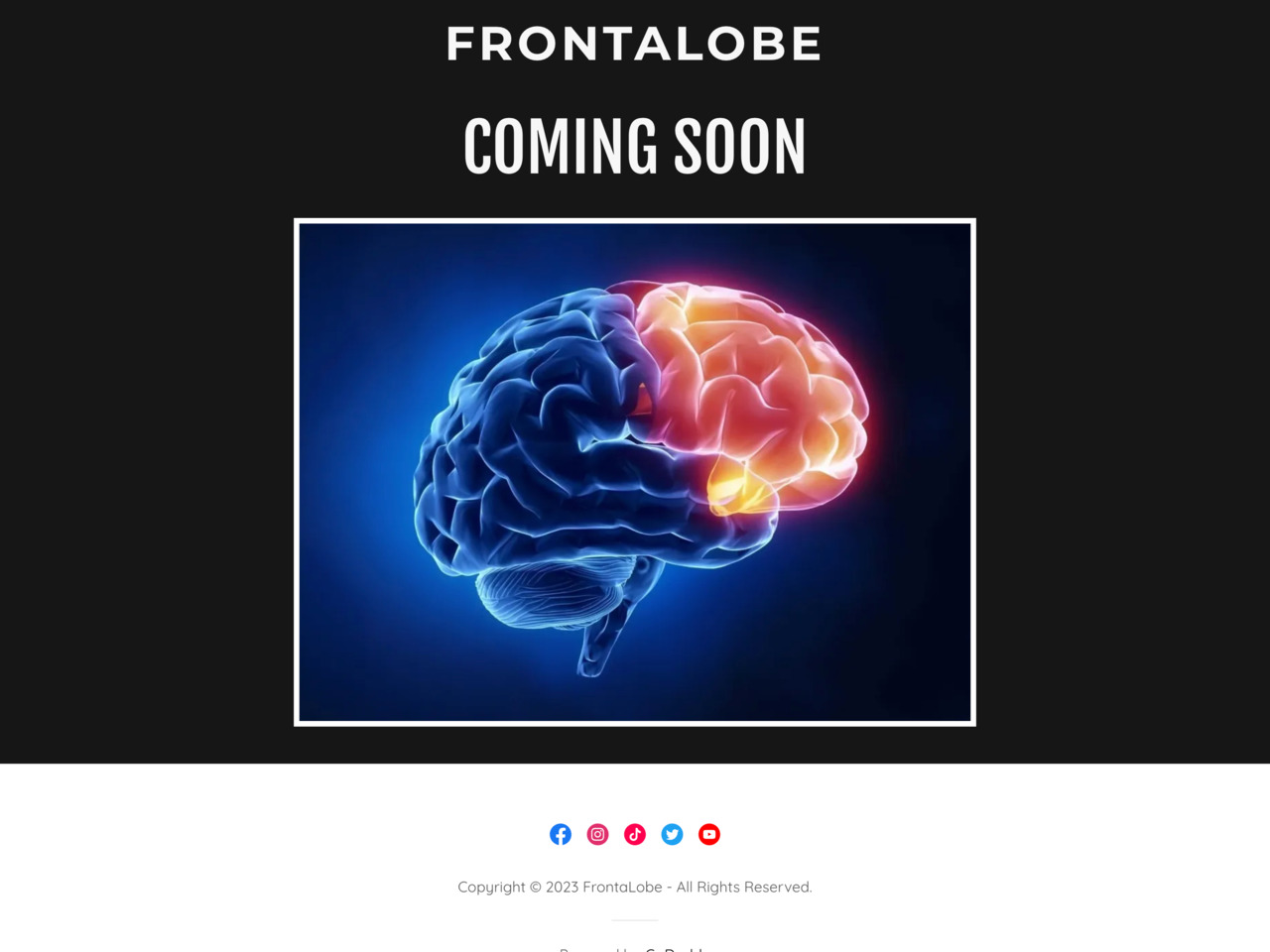 Frontalobe.com website screenshot