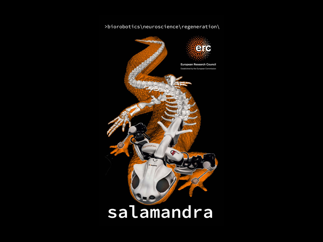 Salamandra.org website screenshot